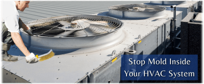HVAC Mold Removal St Charles IL